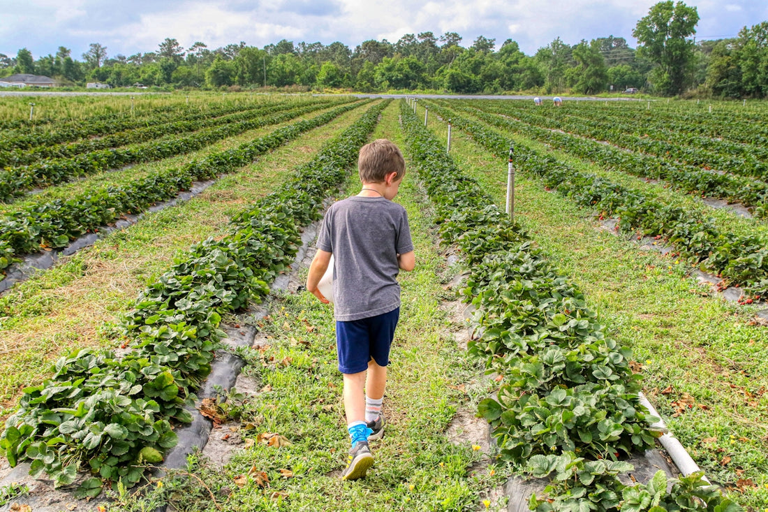 boy in gray t-shirt walking on green grass field during daytime