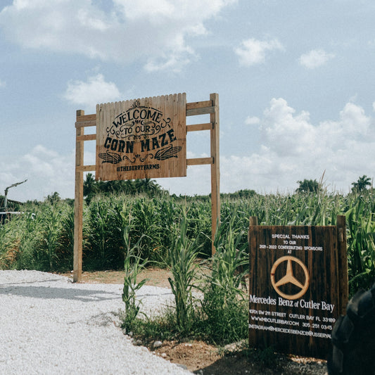 a wooden sign sitting on the side of a road