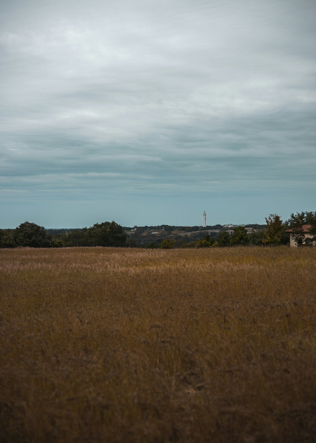 a large field with a house in the distance